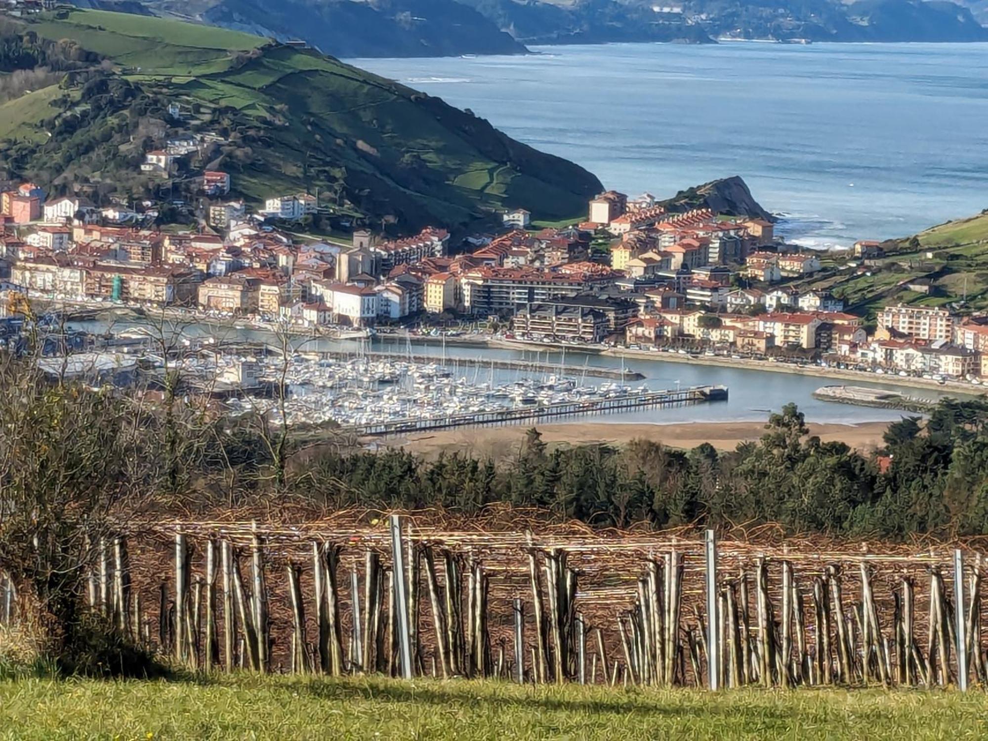 Zumaia Basque Alai Daire Dış mekan fotoğraf